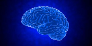 Ce qu-il se passe dans le cerveau quand on meurt 