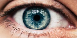 Point noir dans l-œil : qu-est-ce que la mouche volante ?