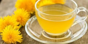 Retention d-eau : le pissenlit, remede naturel