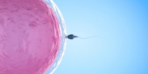 Comment notre naissance influence notre personnalite