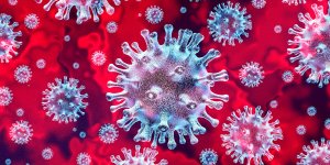 Coronavirus : voici a quoi ressemblent les poumons d’un malade !