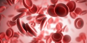 Anemie : qu-est-ce que la thalassemie ?