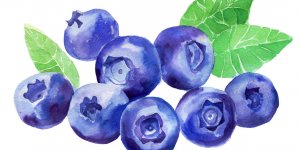Les aliments anticancer du colon