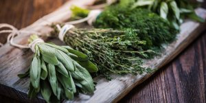 Voici l-herbe aromatique a ajouter a vos plats pour preserver votre cerveau