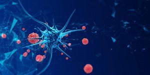 Comment le cancer se developpe