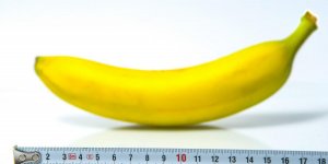 Taille du penis : 7 choses fausses a ne plus croire 