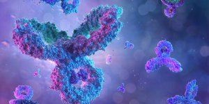 Covid-19 : peut-on savoir si nos anticorps proviennent du vaccin ou d’une infection ?