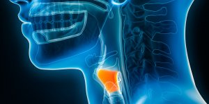 La premiere greffe de larynx realisee en France 