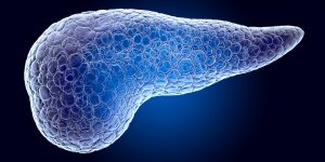 Diabete LADA, MODY, neonatal et de la mucoviscidose : les autres types de diabete