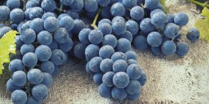 Trois regles pour reussir sa cure detox minceur