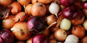 Soigner un rhume : remede de grand-mere a base d-oignon