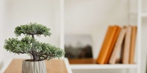 Le wabi-sabi : la philosophie japonaise pour apprecier le temps qui passe