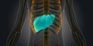 Cancer du foie et hepatite C : le lien