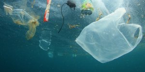 Micropolluants dans l’eau : quels sont les risques ?