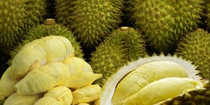 Quel est ce fruit qui sent mauvais mais qui renferme plein de nutriments