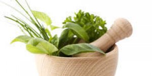 Les plantes anti-cancer