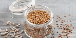 Psyllium : une plante contre les troubles intestinaux