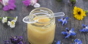Gelee royale pendant la grossesse : une contre-indication ?