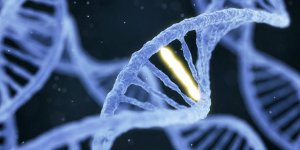 Mucoviscidose : une mutation genetique a l-origine de la maladie