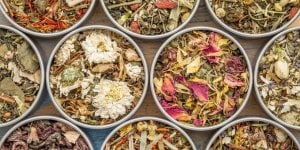 Immunite : 5 plantes a mettre dans vos tisanes cet hiver