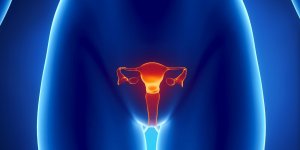 Polype a l-uterus : un signe de cancer ?