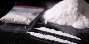 Cocaine : quels effets sur le comportement ?