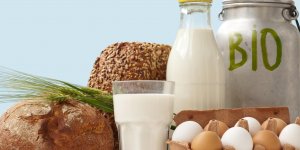 Alimentation bio : la definition