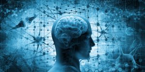 Le surpoids a 60 ans pourrait faire vieillir le cerveau plus vite 