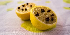 5 astuces naturelles pour debarrasser sa maison des moucherons