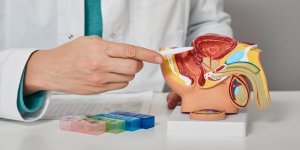 « Je suis urologue, voici ce que je conseille aux hommes qui ont une hypertrophie de la prostate »