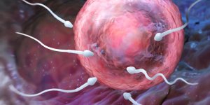 Comment le tabac agit-il sur la fertilite ?