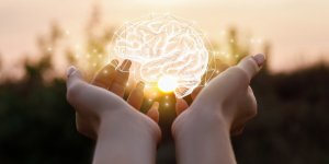 Declin cognitif : un melange multivitamine pour ameliorer la memoire