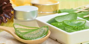 Le gel d-aloe vera contre les demangeaisons genitales