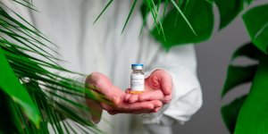 Coronavirus : un nouveau vaccin fabrique grace a une plante