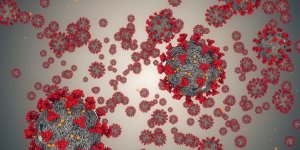 Coronavirus : les trois scenarios prevus par l’OMS en 2022 
