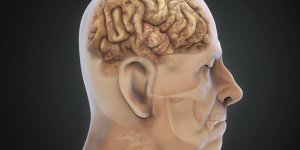 L-epilepsie temporale