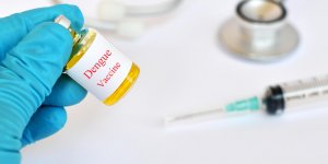 Epidemie de dengue : existe-t-il un vaccin ?