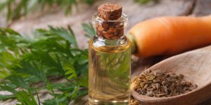 Huile essentielle de carotte : les contre-indications