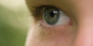 Complements alimentaires pour les yeux : l-euphraise