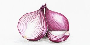5 raisons de manger des oignons