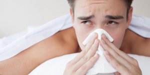 Rhume des foins : l-interet des huiles essentielles