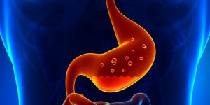 10 organes dont on peut se passer pour vivre