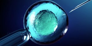 Vitrification des ovocytes : les conditions en France
