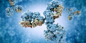Lymphome des ganglions : le traitement par anticorps monoclonaux