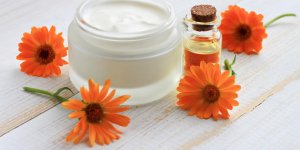 Traitement des varices : une creme naturelle au calendula