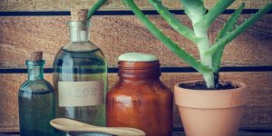 Aloe vera en gel ou en jus : la difference