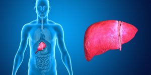 Mal au foie : comment le soulager ?