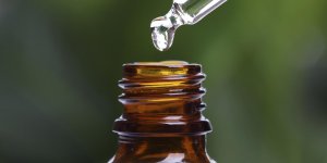 Demangeaison du cuir chevelu : l-huile essentielle d-arbre a the pour soulager