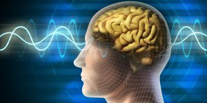Sommeil et exercice affectent notre cerveau pendant des jours voire des semaines