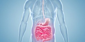 Cancer : qu-est-ce que le peritoine ?